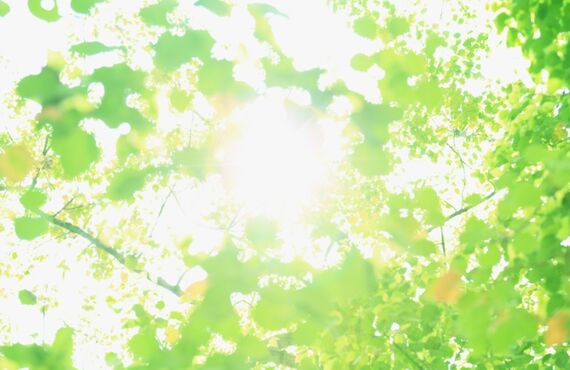 浦和で腰痛の原因を見つけて、改善してくれる整体院はこちら